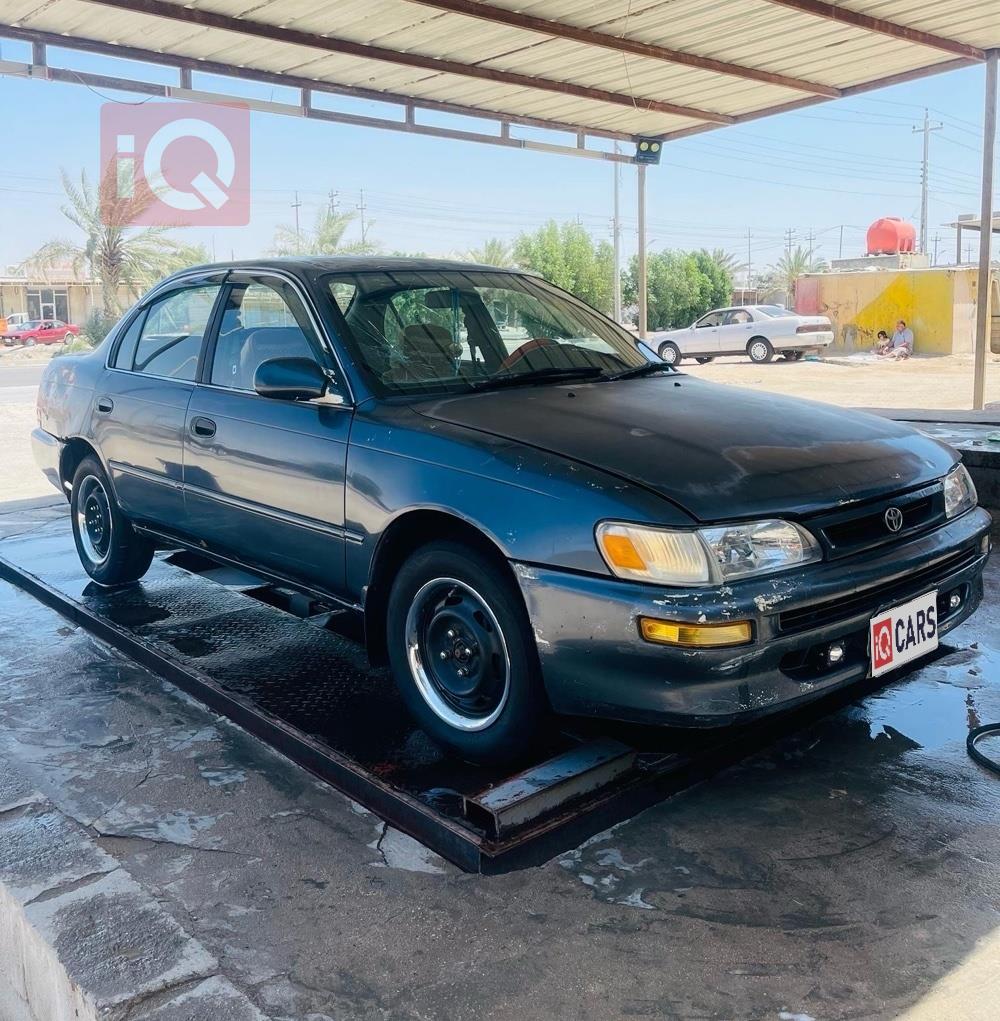 تويوتا كورولا